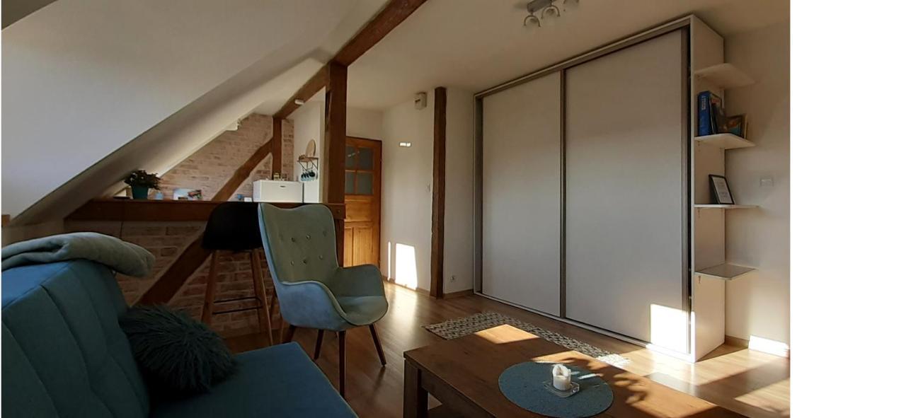 Urocze Studio Z Klimatem W Centrum Legnicy เลกนิตซา ภายนอก รูปภาพ
